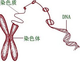 2024年青岛试管正规供卵机构包生男孩榜