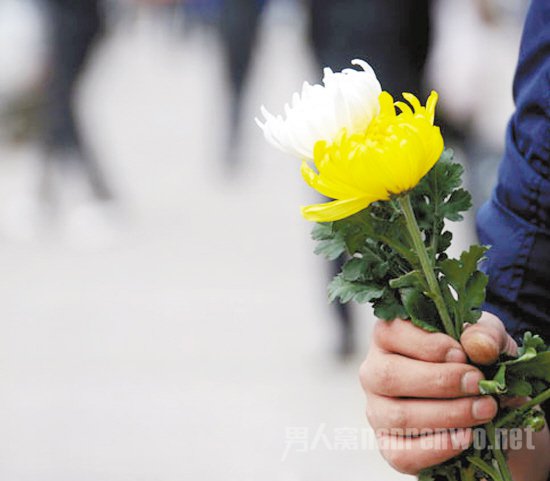 清明节鲜花祭祀托真情 既环保又安全(2)