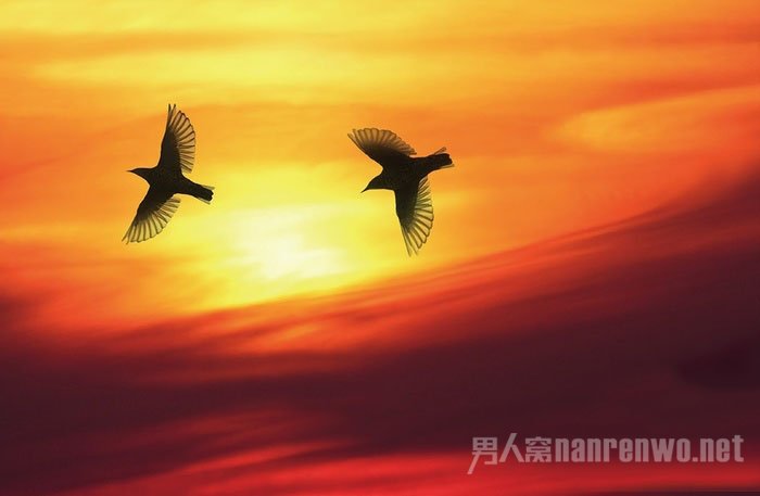 800mm f/5.6 1/1250s 100 800mm f/5.6 1/1250s 100