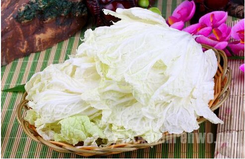 喜爱大白菜 喜爱大白菜