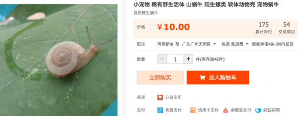 真蜗牛 真蜗牛