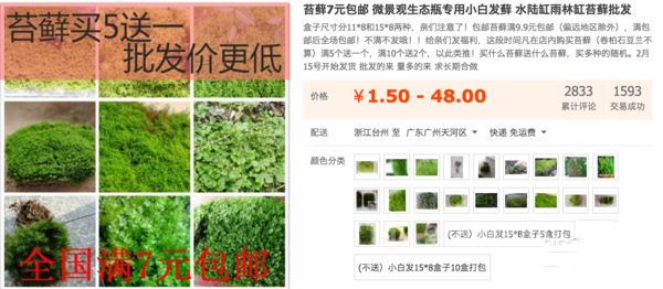 小块苔藓 小块苔藓