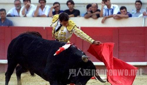 西班牙,只剩斗牛了 西班牙,只剩斗牛了