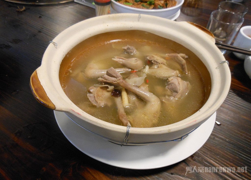 乳鸽汤 乳鸽汤