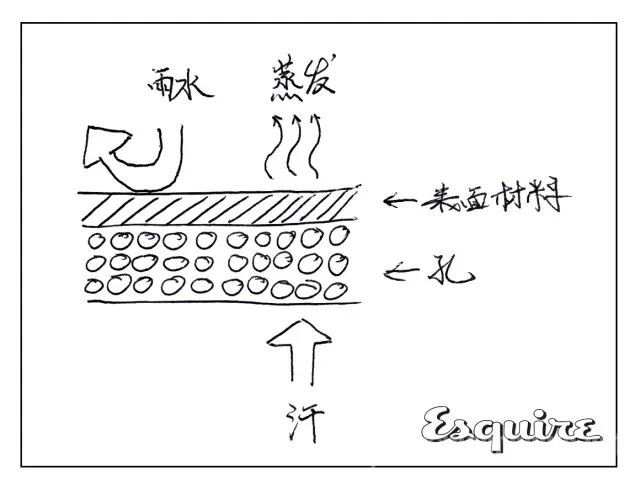 防风性