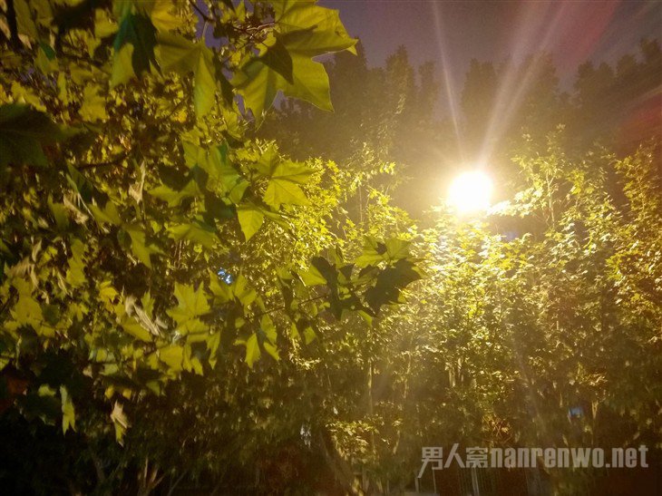 联想P2拍照样张 联想P2拍照样张