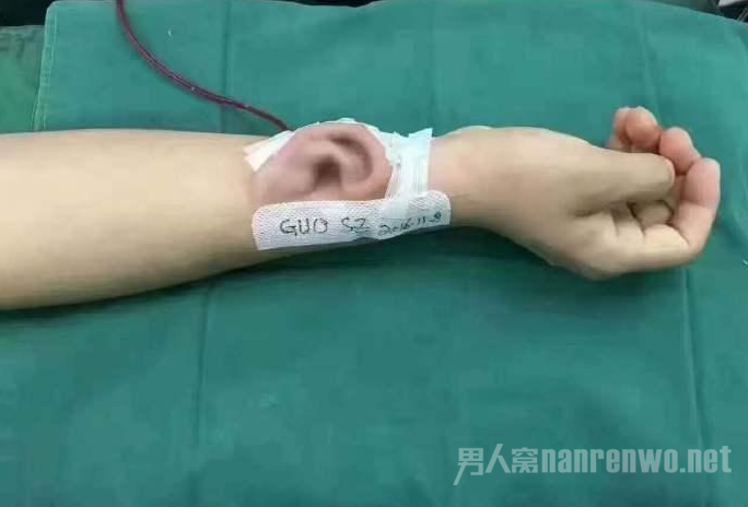 䳤ֱ