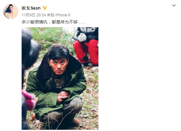 张戈微博 张戈微博
