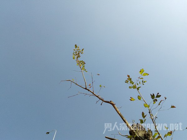 拍照样张 拍照样张