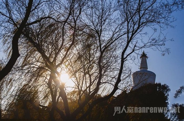 实拍样片 实拍样片