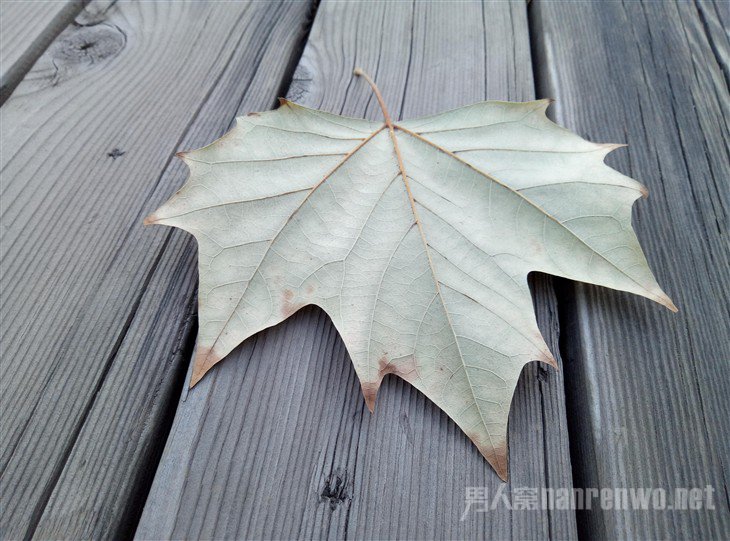 魅蓝Note 5拍照样张 魅蓝Note 5拍照样张