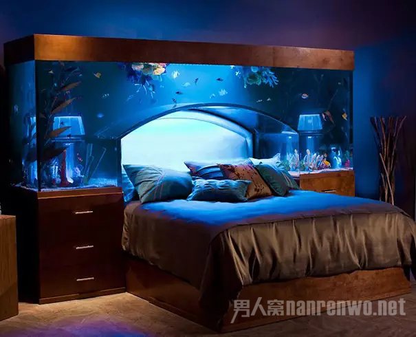 水族馆的床 水族馆的床