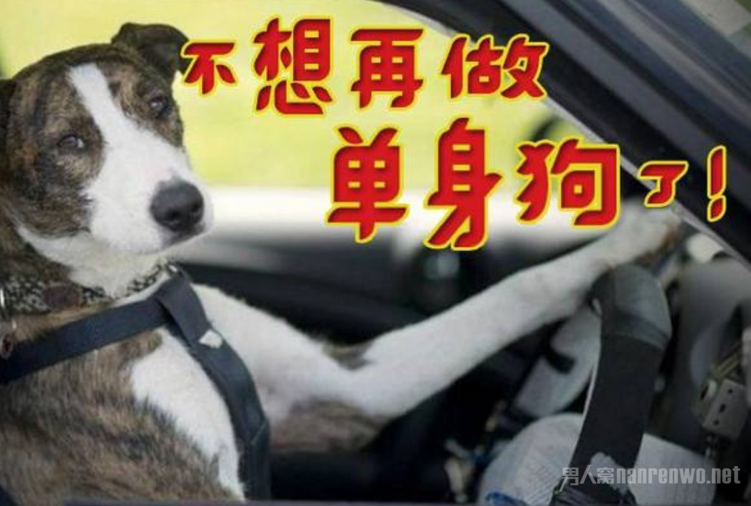 朋友圈秀恩爱才见真爱 朋友圈秀恩爱才见真爱