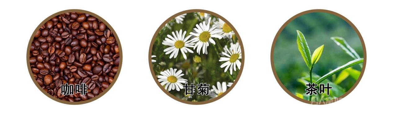 45254_8ef154d2-344a-4a9c-9a8d-02b7ce765942 45254_8ef154d2-344a-4a9c-9a8d-02b7ce765942