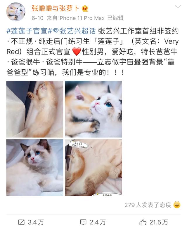 哼 我就是爸爸最喜欢的小猫咪 张艺兴不为人知的甜腻伴侣