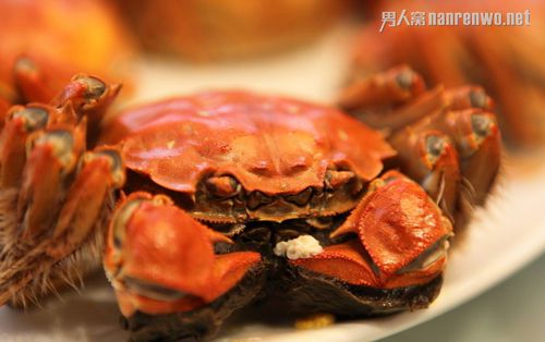 盘点我国12种甘旨螃蟹:爆炒香辣螃蟹的做法