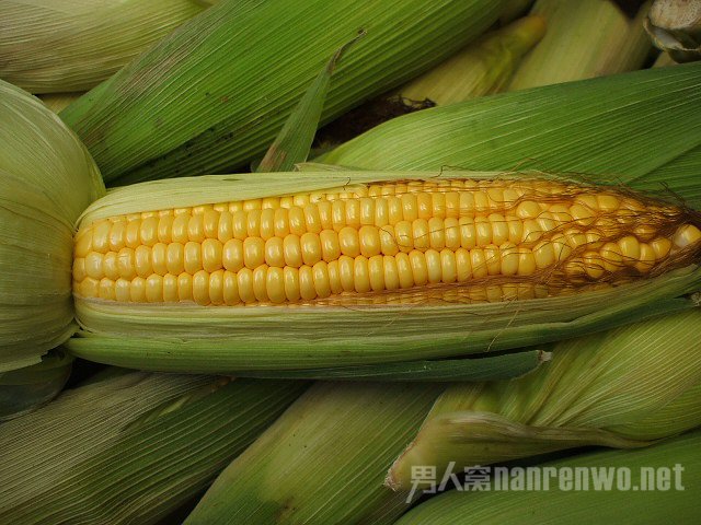 软化血管的食物及成效大全 均衡的饮食习惯才干养身:怎样才干均衡养分