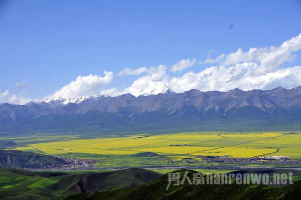 七月到了 一同去青海门源看花海吧!:门源油菜花几月开