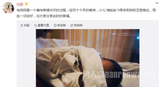 刘璇产子后发微博报喜 刘璇老公王弢家庭布景揭秘:刘璇第二任老公