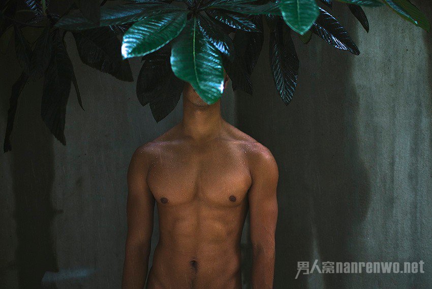 男士飞机打多了怎么补肾?