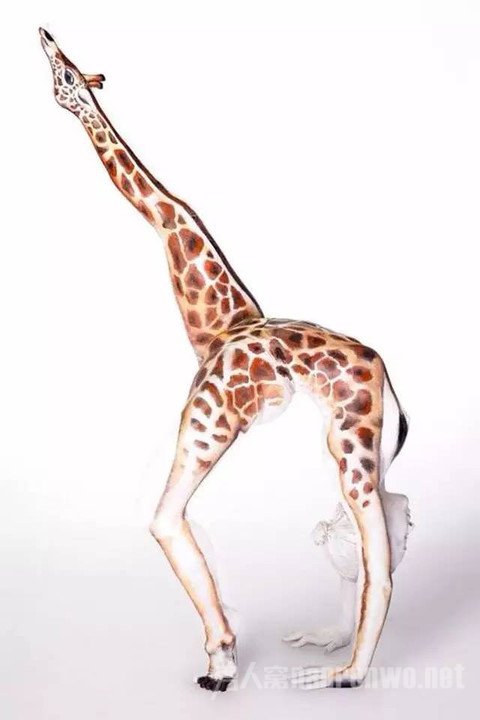 ¹
