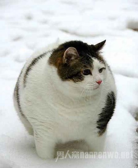 Ż㣬䣬֬㲢ңԶ