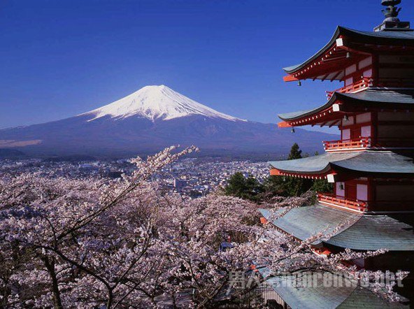 美景