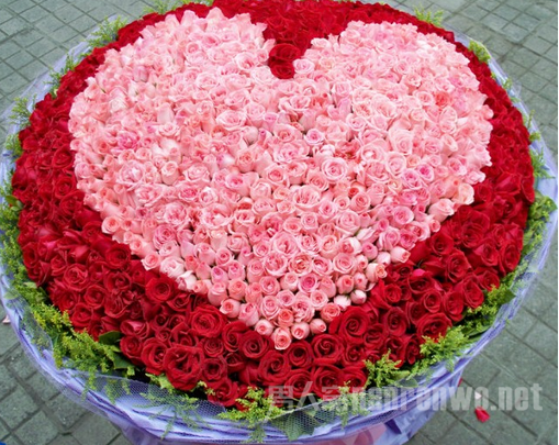 鲜花