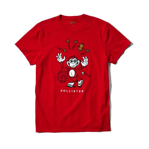 Hollister 2016´رϵ-ʿT