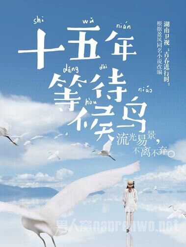 《十五年等待候鸟》海报
