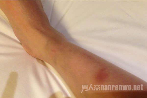 ���Ƕ�����