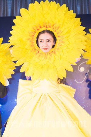 Angelababy扮向日葵