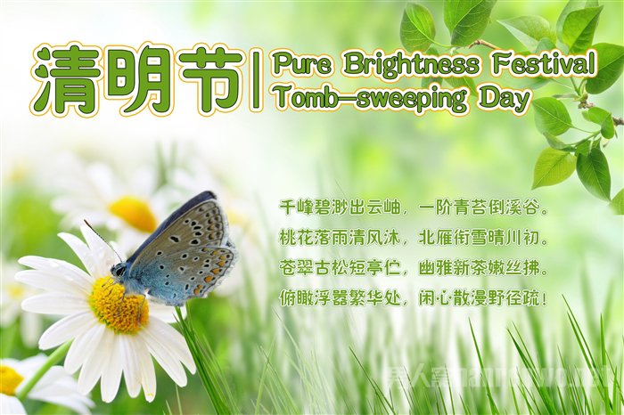 清明我们一起去踏青