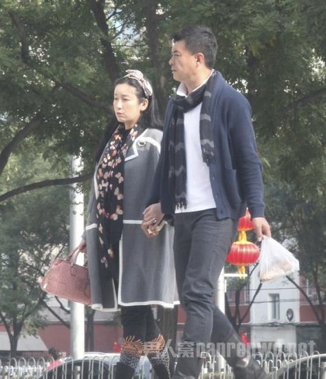 秦海璐大肚出行