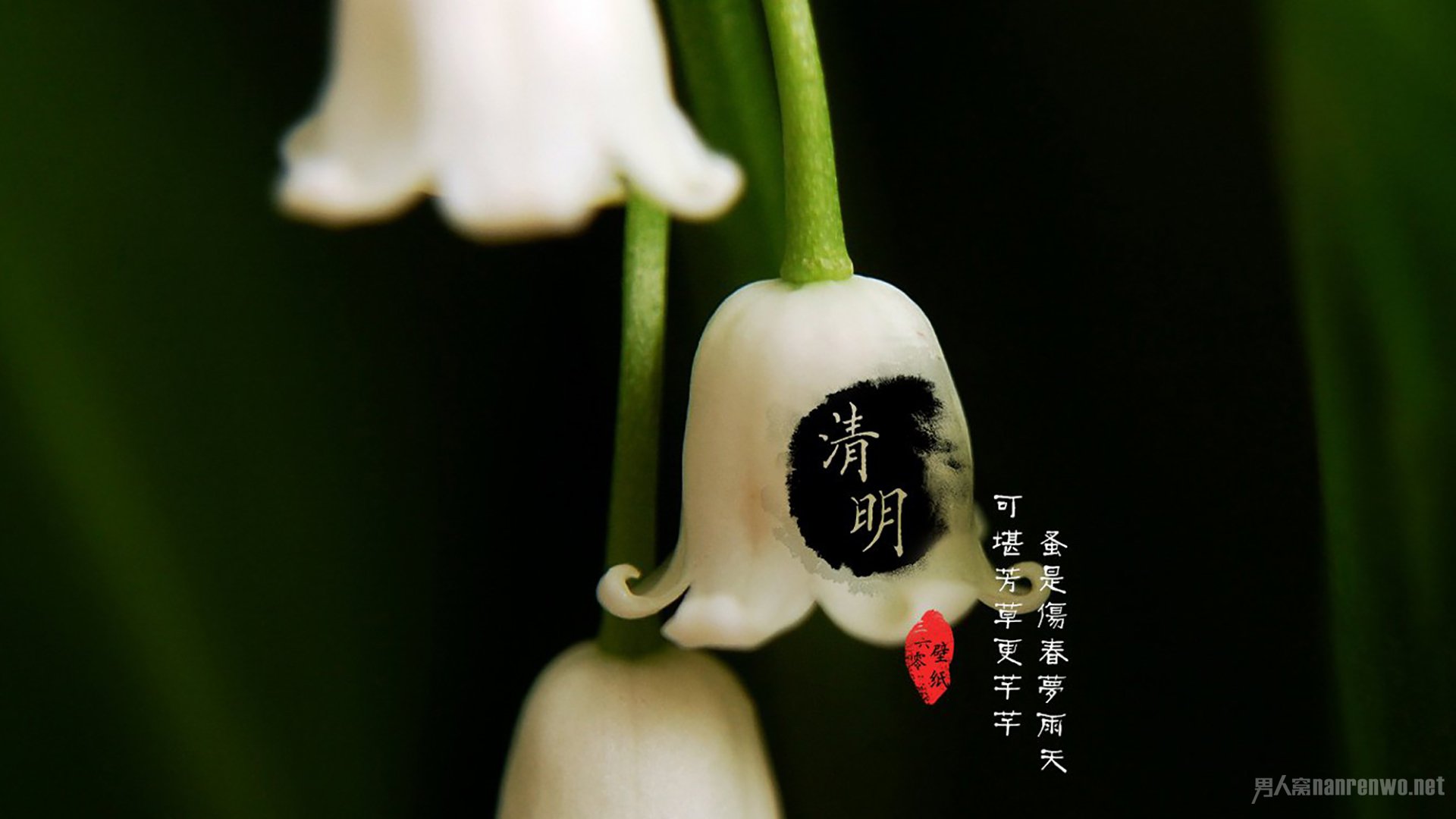 清明节