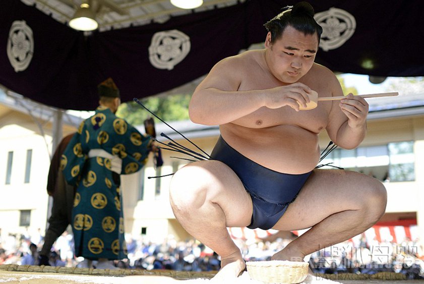 相扑手