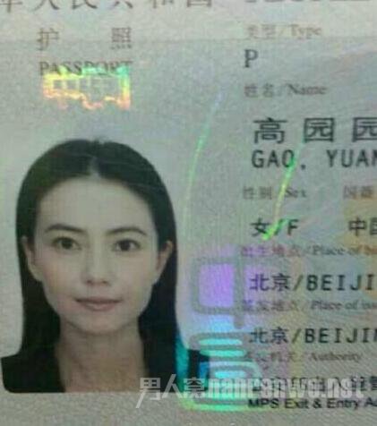 高圆圆证件照