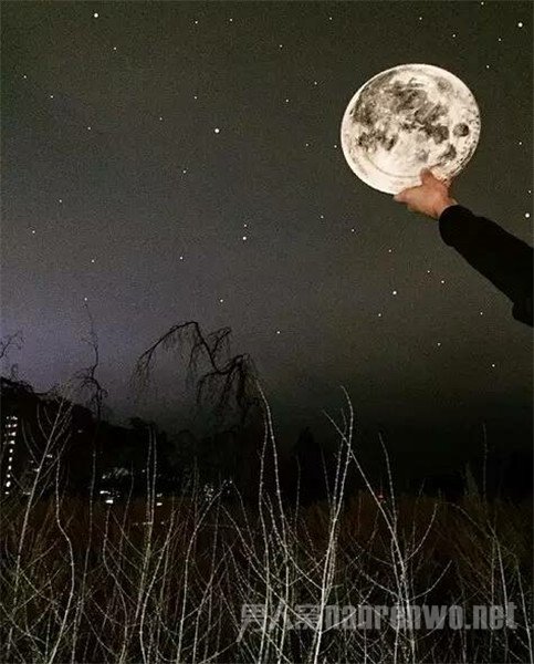 ֻ
