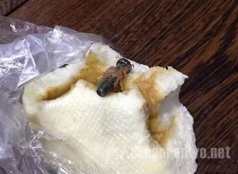 ڵİӺ뵽ʲôڵ