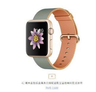 Apple Watch