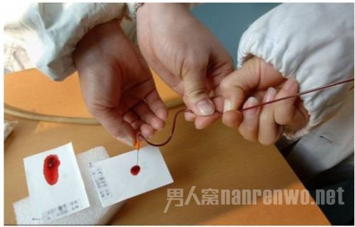 亲子鉴定