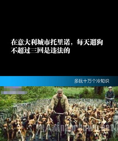　　市领导绝对是个立派的狗奴
