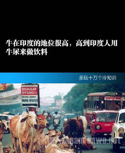 印度