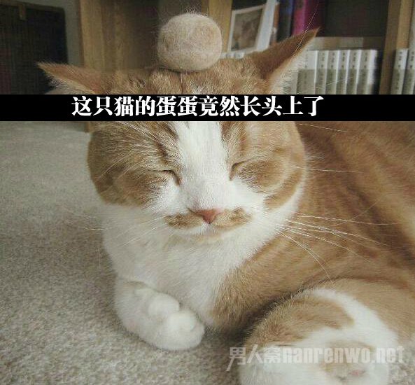 Ǳ۷?
