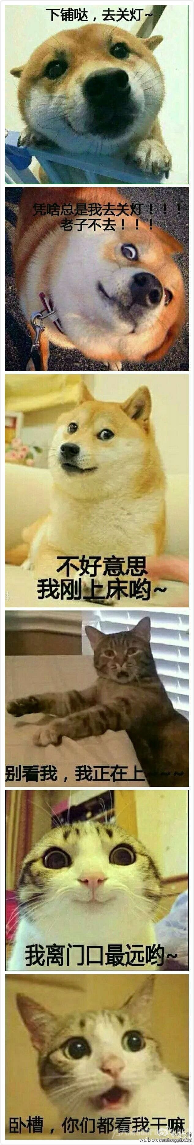 ׸˭ȥص