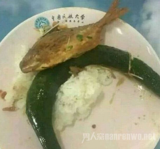 й񺽴ѧ 