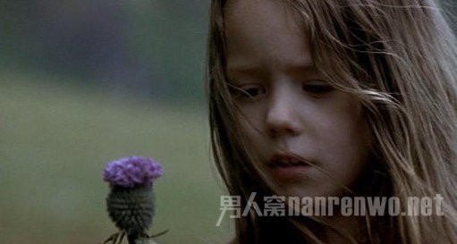 《小风琴》