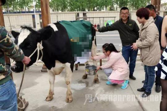 市民体验