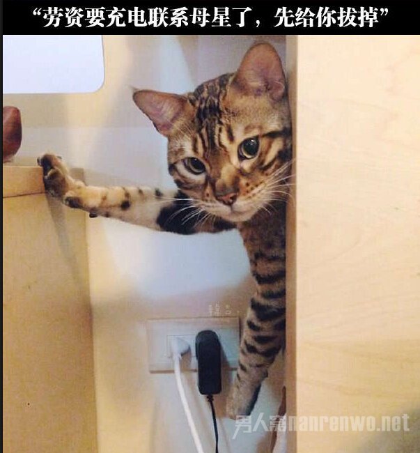 住手！