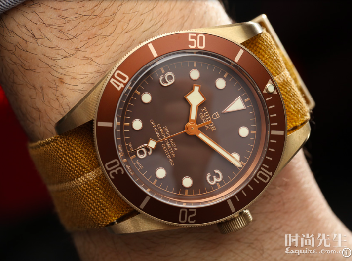 TUDOR۶